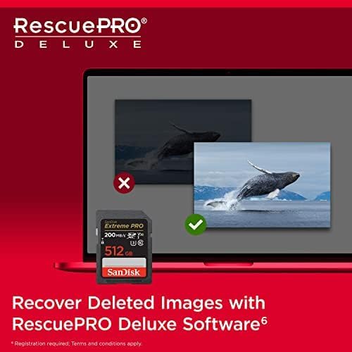 SanDisk Extreme PRO SDXC UHS-I SD Memory Card – U3, V30, C10, 4K UHD Compatible - Image 29